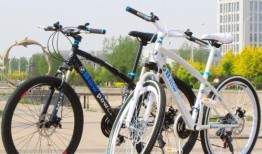 德国自行车爆料大全视频,爆料大全视频深度解析